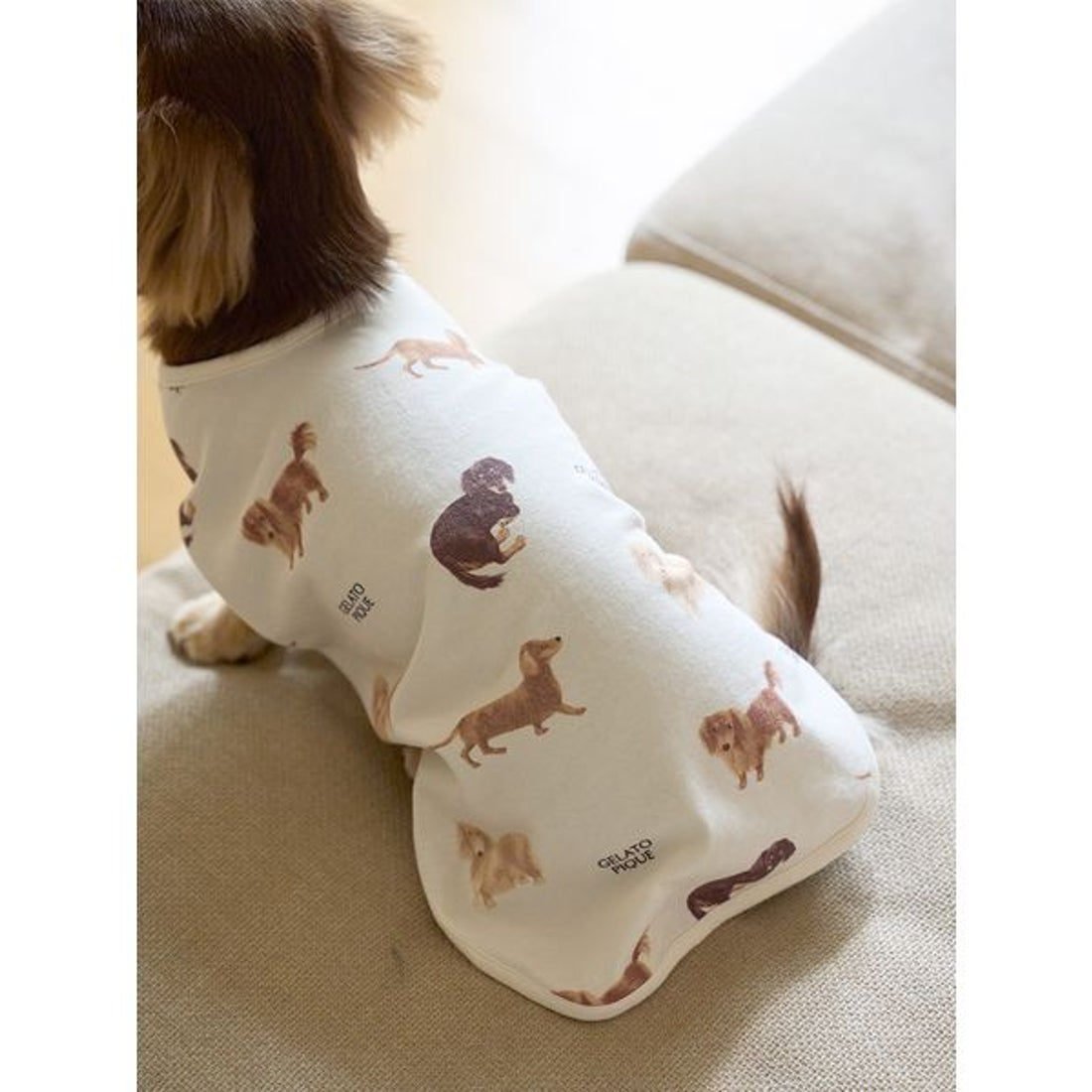 ジェラートピケ gelato pique 【CAT&DOG】ダックスフンド柄プル