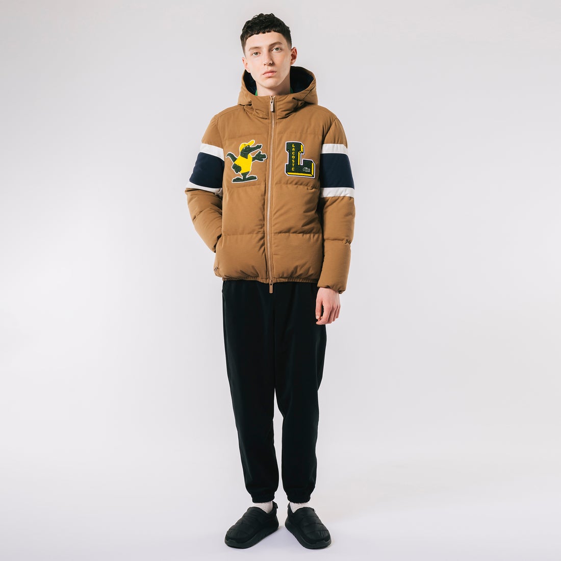 ラコステ LACOSTE 鹿の子地ダウンジャケット （ブラウン