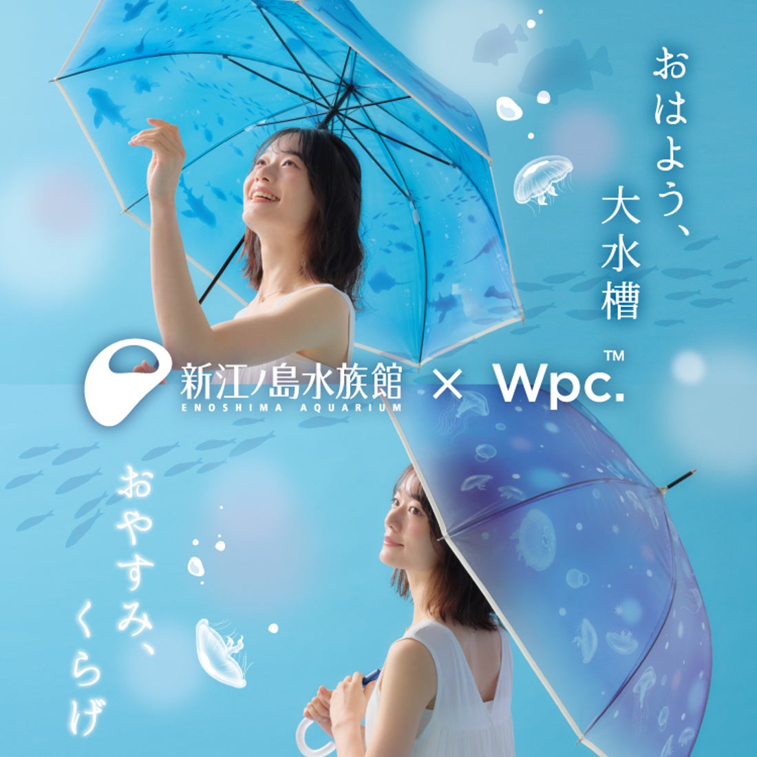 Wpc.】［ビニール傘］えのすい×Wpc. アンブレラ おやすみ、クラゲ 親骨