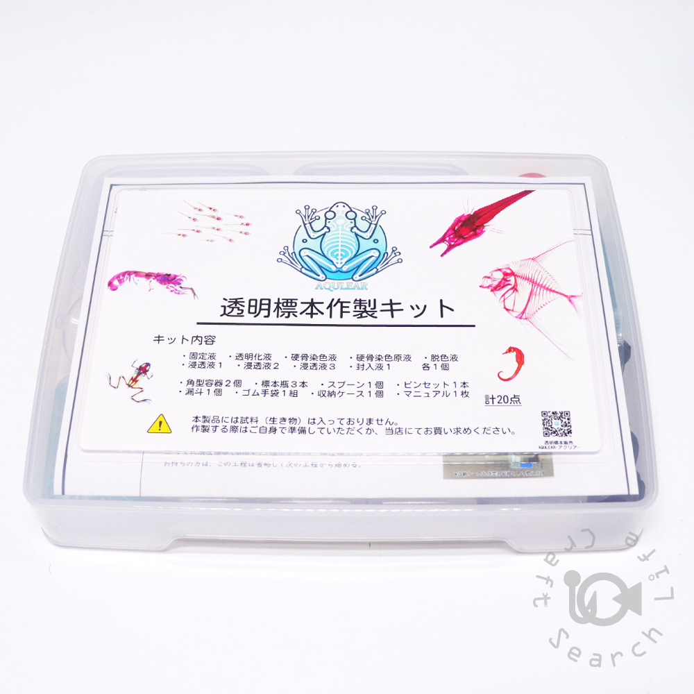 透明標本作製キット - 海水魚・小型水槽・人工ライブロック通販