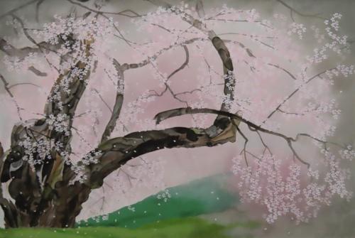 坪井の枝垂桜 | ｜正光画廊