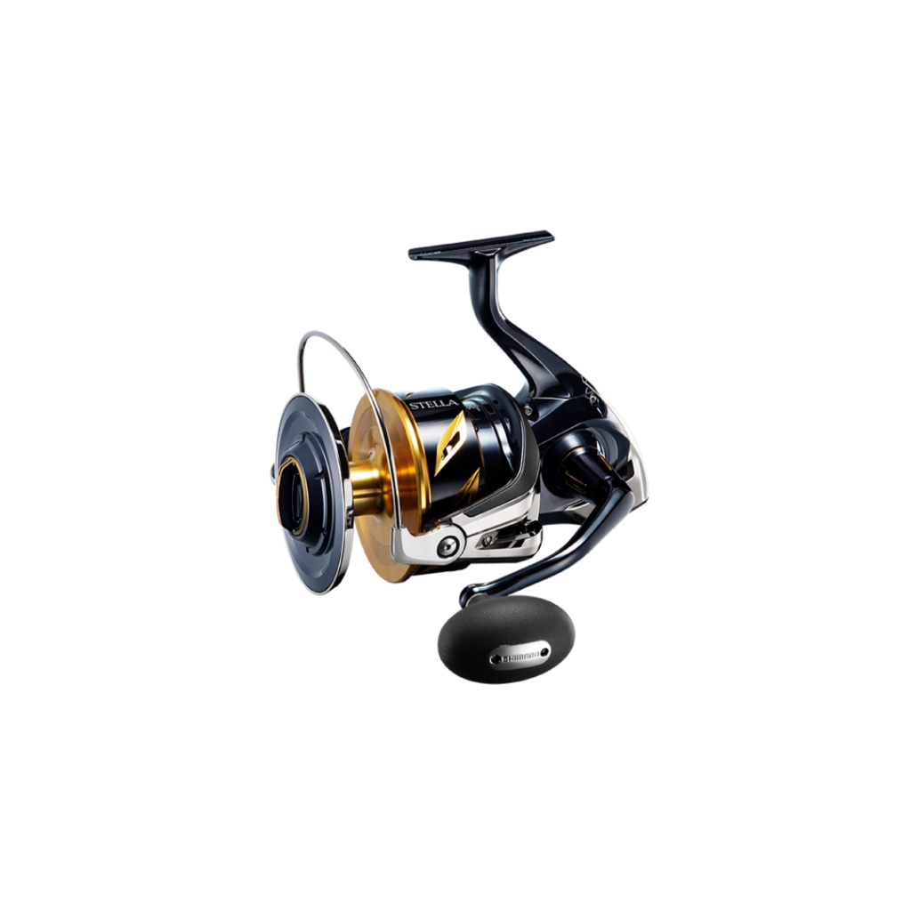 SEPTEMBER SESSIONS | FISHING / SURFING / LIFESTYLE | OnlineStore