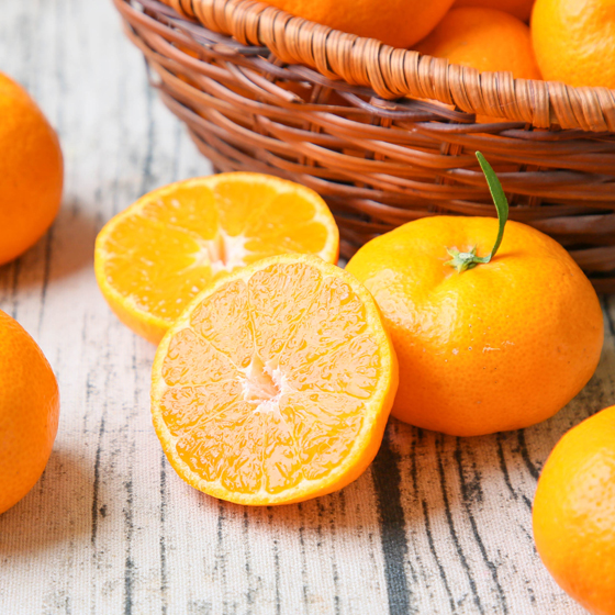 株式会社フレッシュつちやま / みかん ミカン 果物 フルーツ 柑橘 吉田