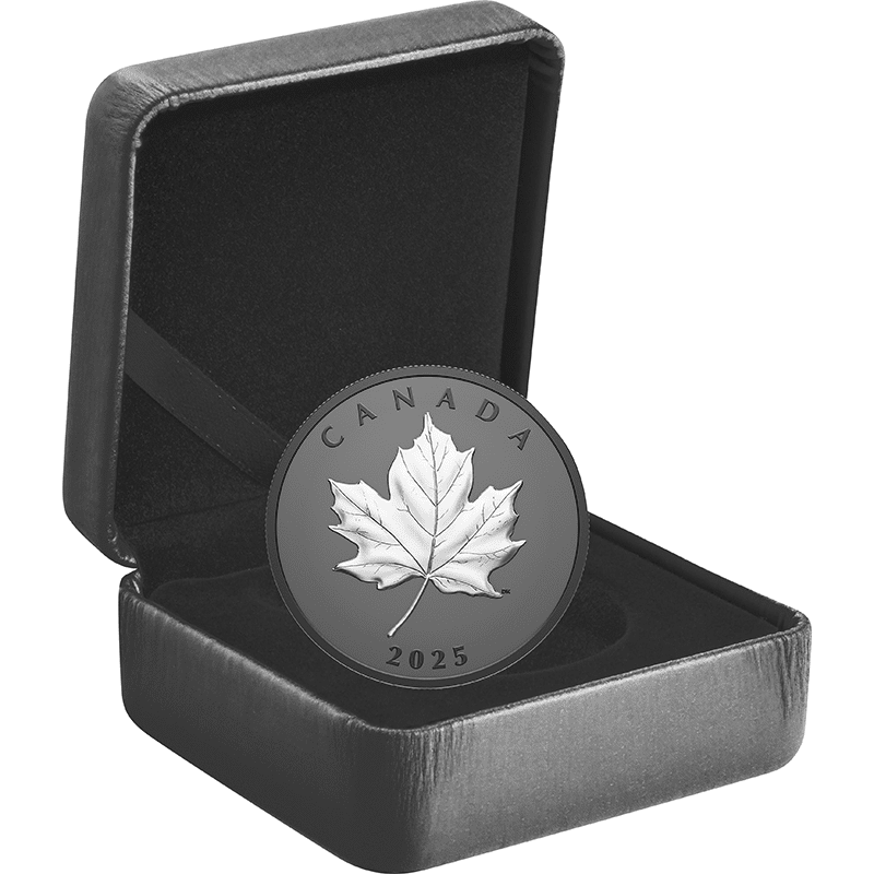 カナダ 2025年 エレガントなメイプルリーフ 20ドル銀貨ブラック