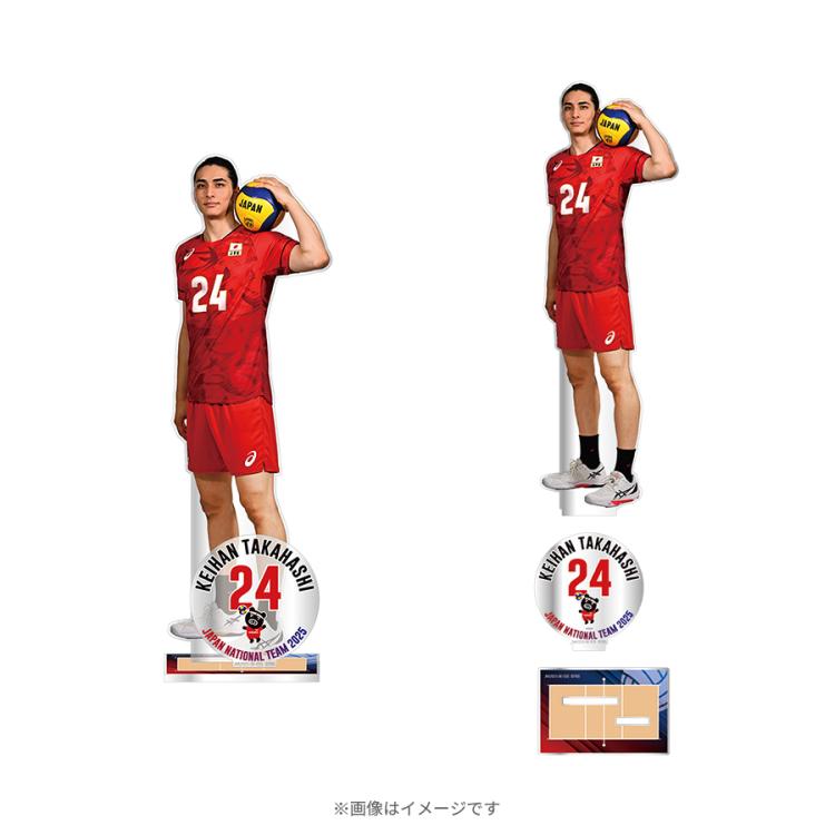 全8種セット トレーディングアクリルスタンド & カード ネーションズ