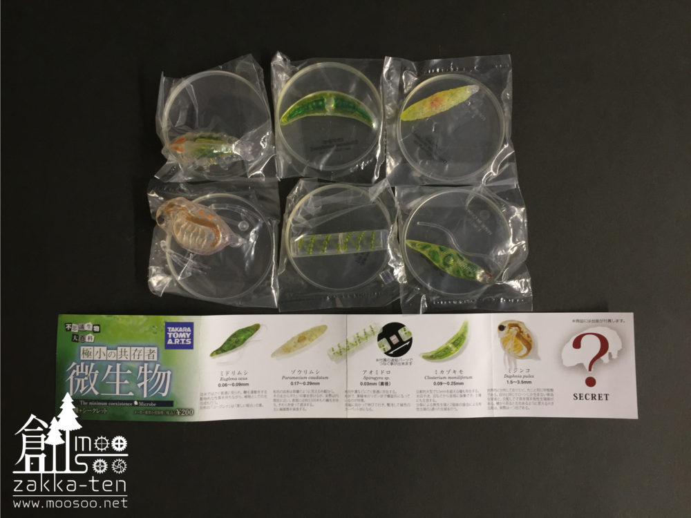 不思議生物大百科【極小の共存者 微生物】 | 博物と古物の奇妙な雑貨店
