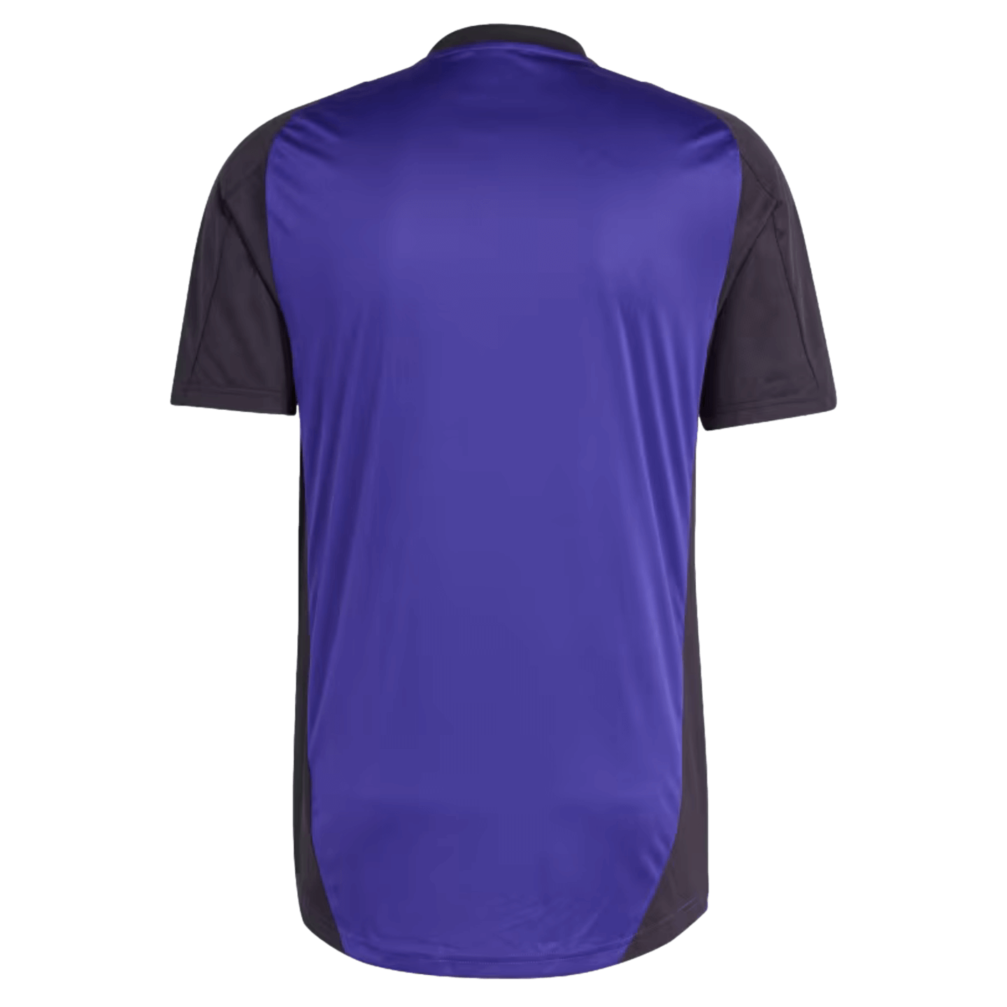 Adidas Germany Training Jersey Soccer IP8245 Purple