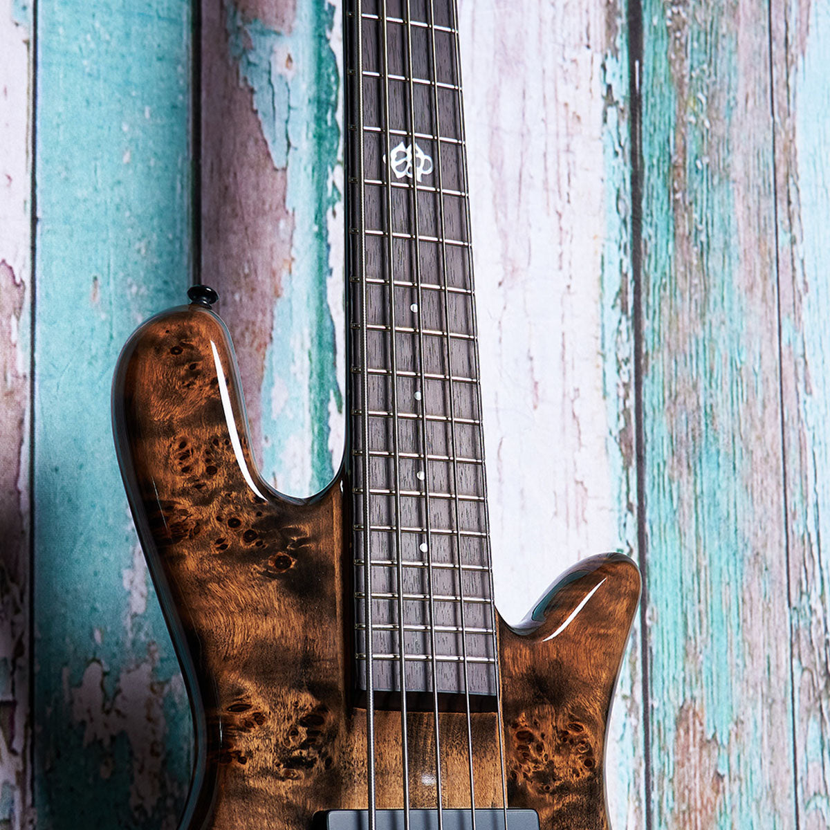 NS Ethos 5 – Spector Bass Shop