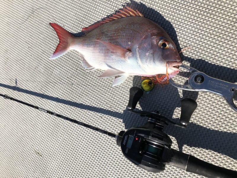 東京湾タイラバにおススメのロッドTAIGAME SSD C69ML/FSL | 須江のブログ