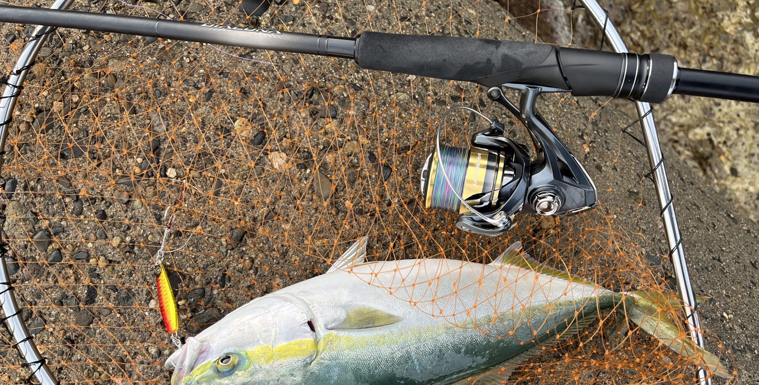 神コスパ】シマノ「25アルテグラ」のインプレ。お得感満載の万能リール