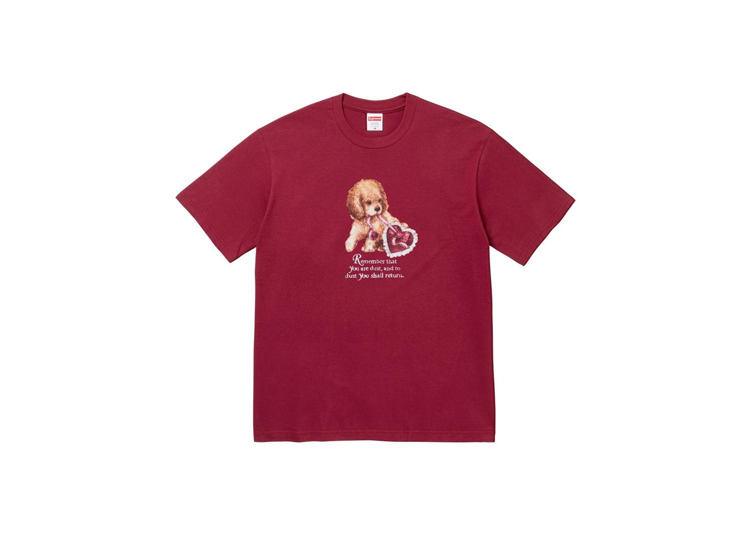 Supreme Dust Tee Cardinal | FW25T72-CARDINAL | sutore - Buy Online