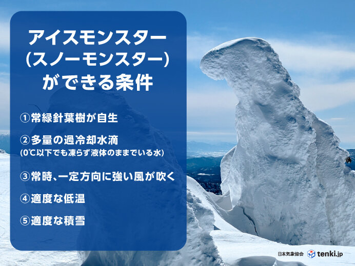冬の芸術「樹氷」ガイド｜仕組みや条件、見られる場所、温暖化の影響を