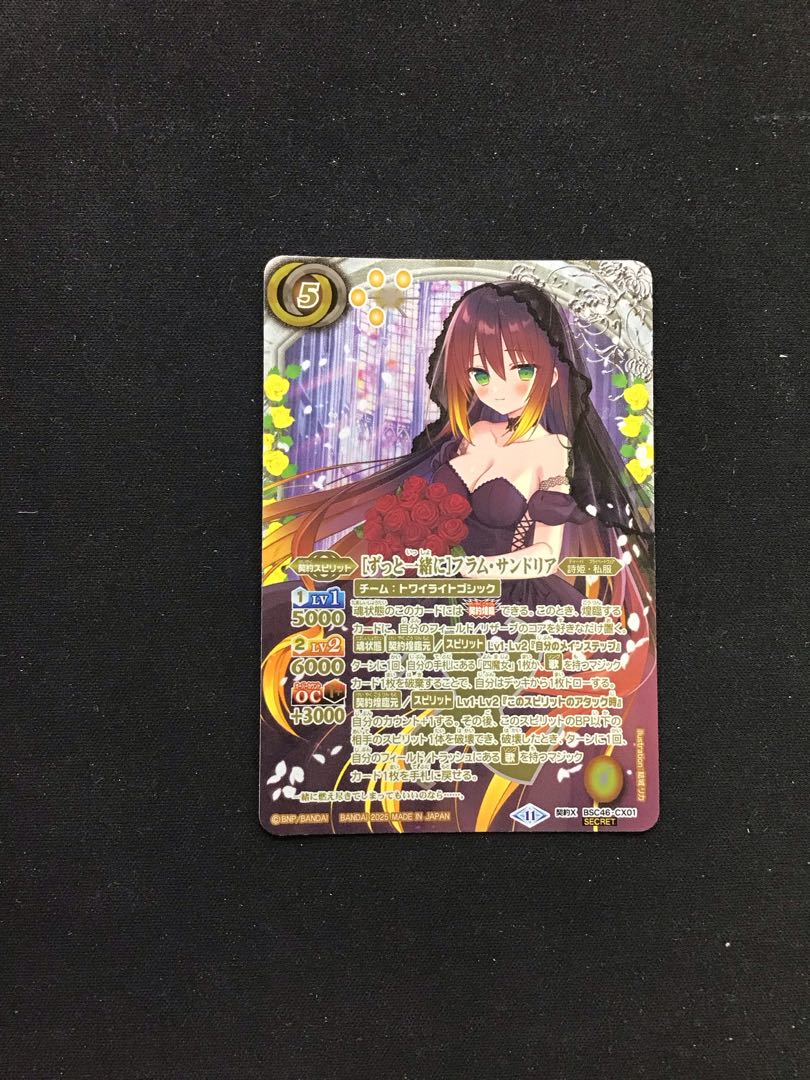 あずたか】［ずっと一緒に］フラム・サンドリア シークレット あずたか