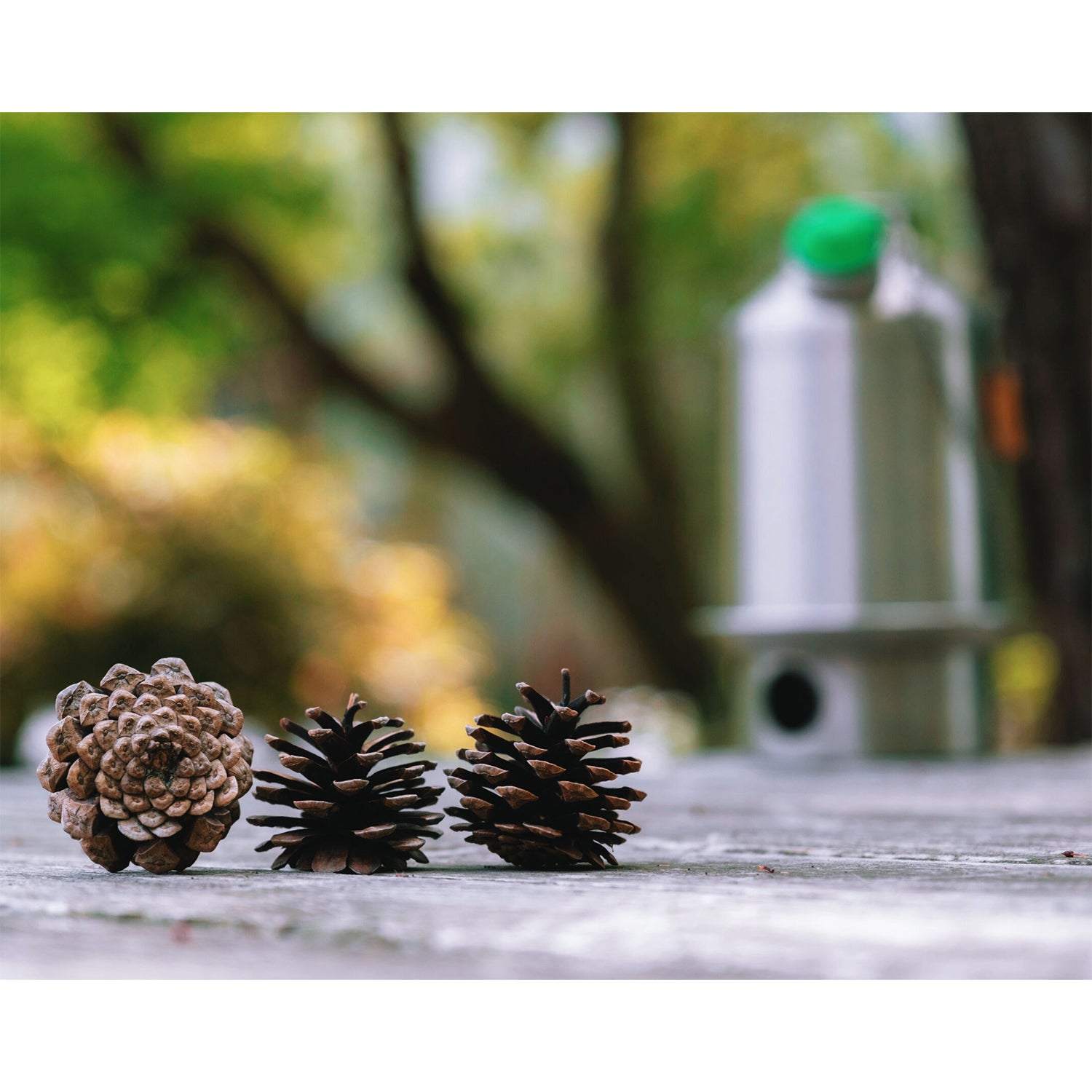 KELLY KETTLE BASECAMP 1.6L STAINLESS / ケリーケトル ベースキャンプ