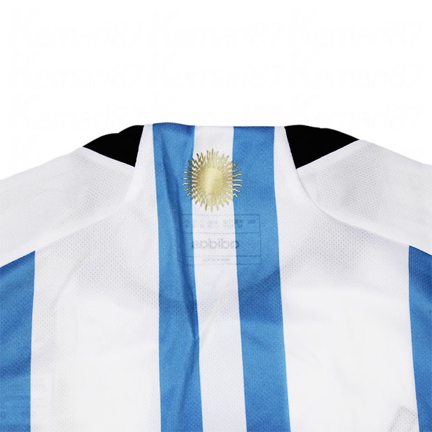 アルゼンチン代表 2022 ホーム 半袖レプリカユニフォーム スリム