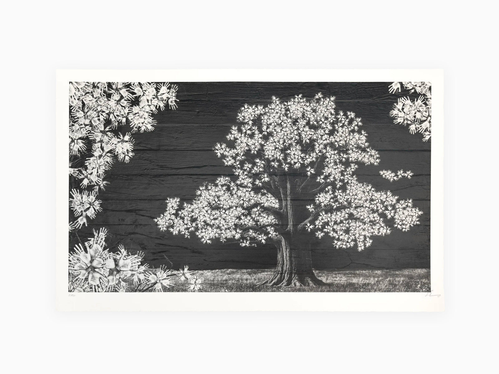 村上隆 FLOWER SKATEBOARD DECK BLACK Takashi Murakami Flowers