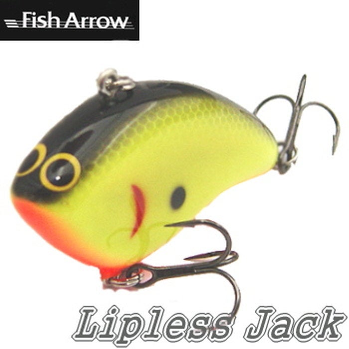 BOOGIE VIBES ブギーヴァイブス❗ | トップウォーター ～水の中の天井～