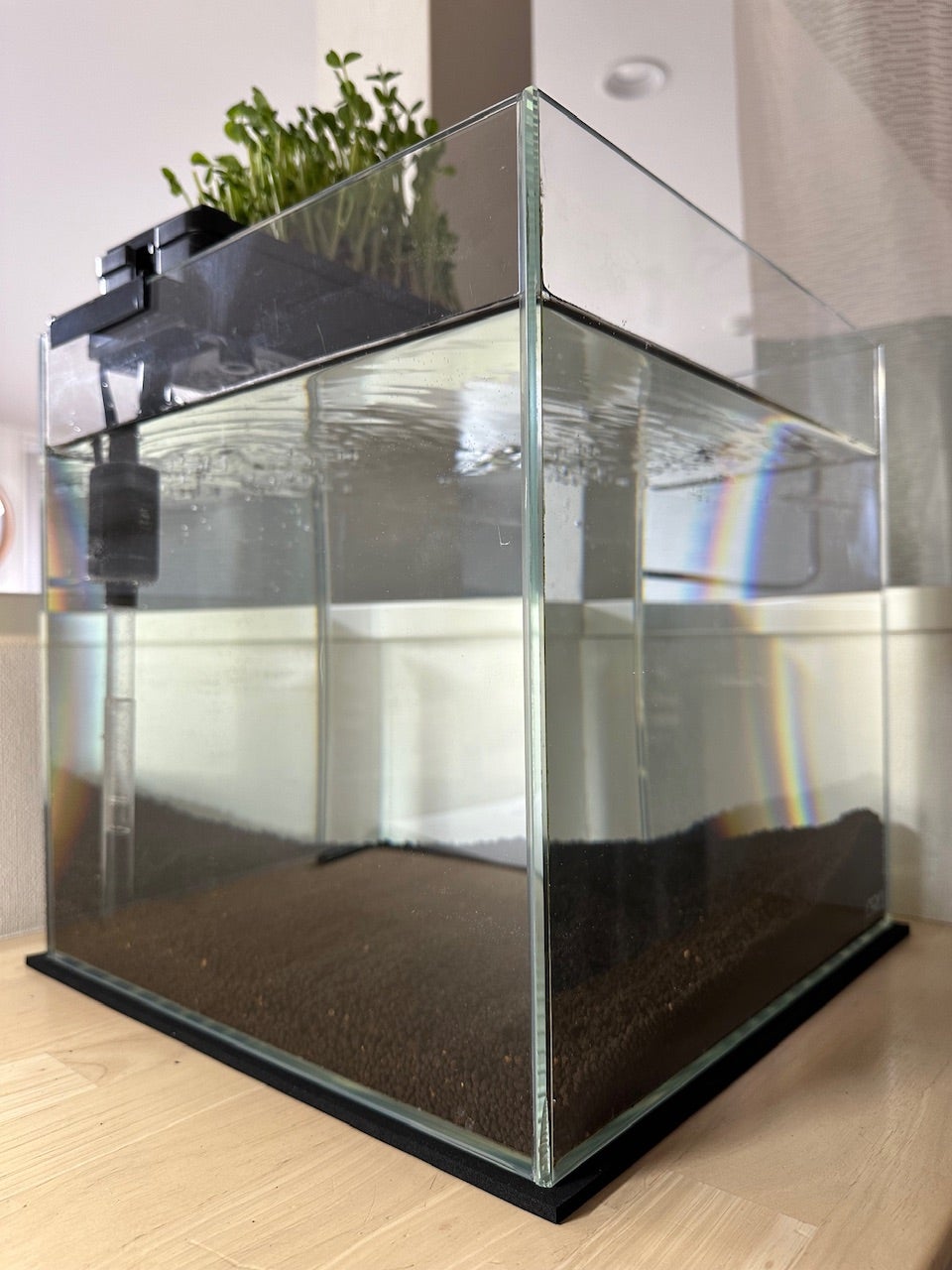 アクアポニックス | シマシマな備忘録