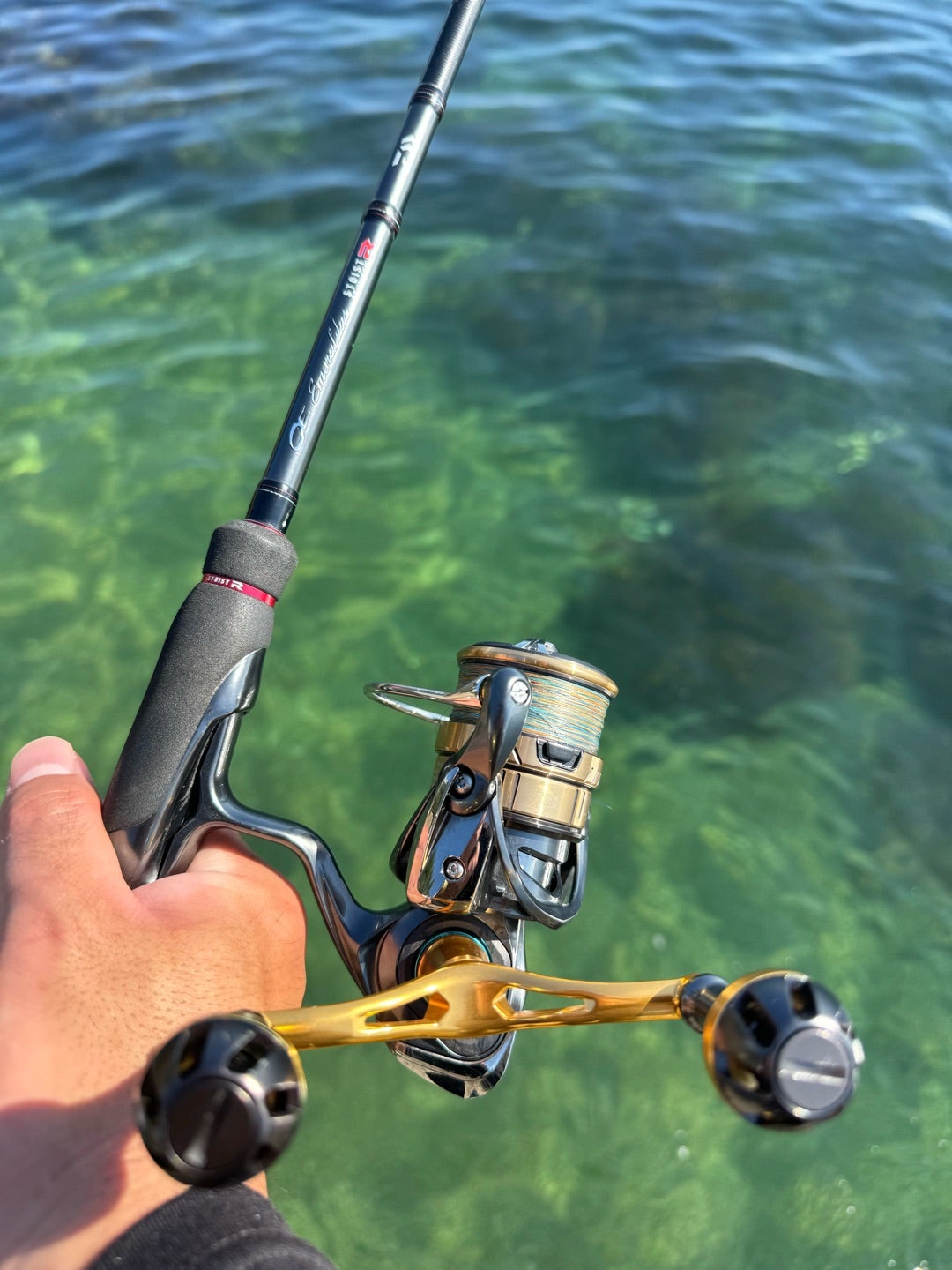 タックルインプレッション】ラグゼ EG-X アルティメイト S86M-solid