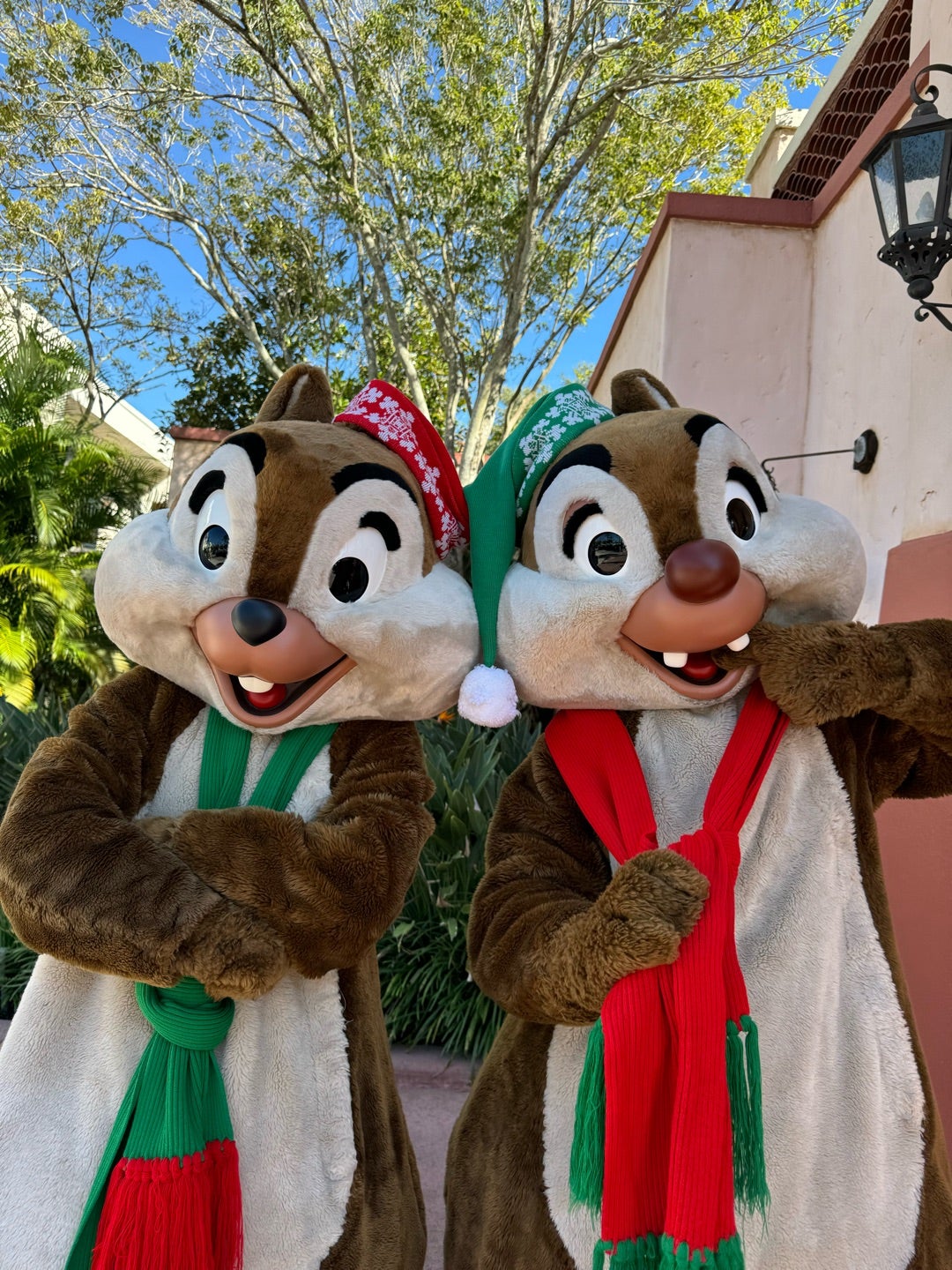 3426.昔の海外ディズニーワールドキャストピン クリスマス チップと