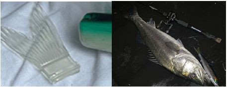 VOLTA 235 RTMリリース決定 | 石井館長のバス魂