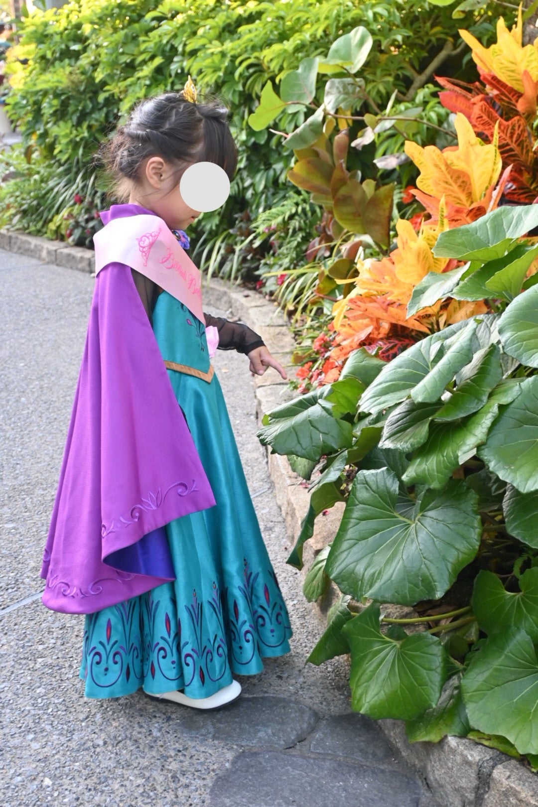 ビビディ・バビディ・ブティックのエルサプレミアムドレス｜刺繍・生地