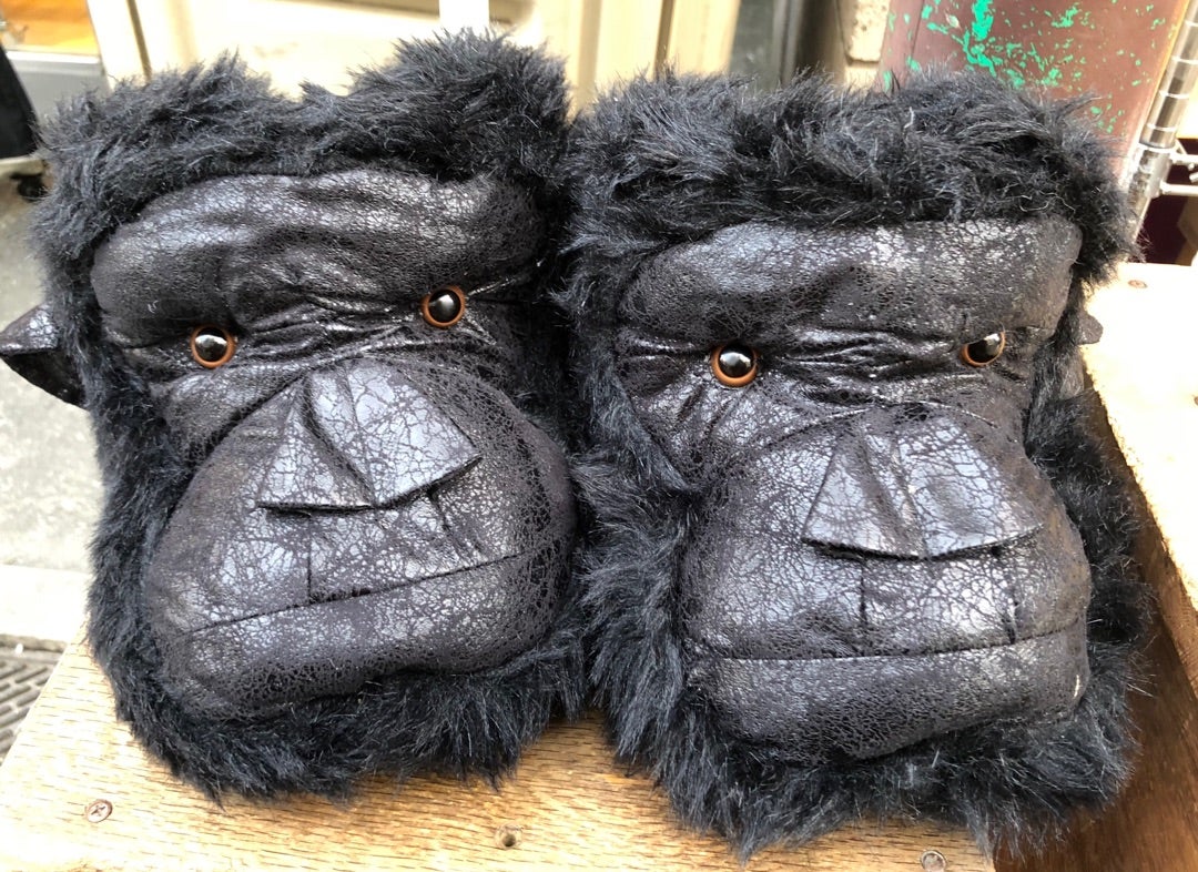 ゴリラ！！ | 沢田聖子オフィシャルブログ「In My Heartな旅日記」by Ameba