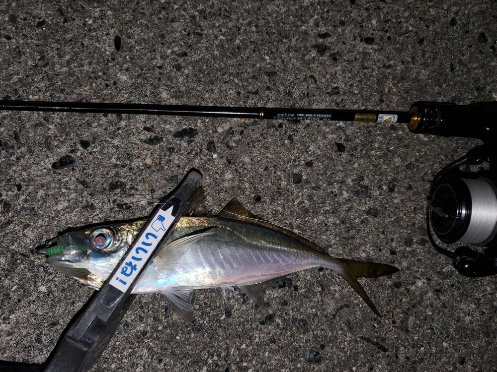 ソルセン スペリオル SPRS-64UL-T シャープカット使ってみた