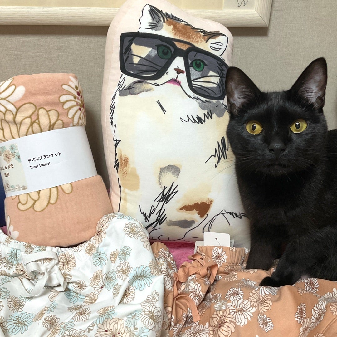 また来たよ♪ユニクロ × ポール&ジョー☆ | ☆しぃ☆のブログ