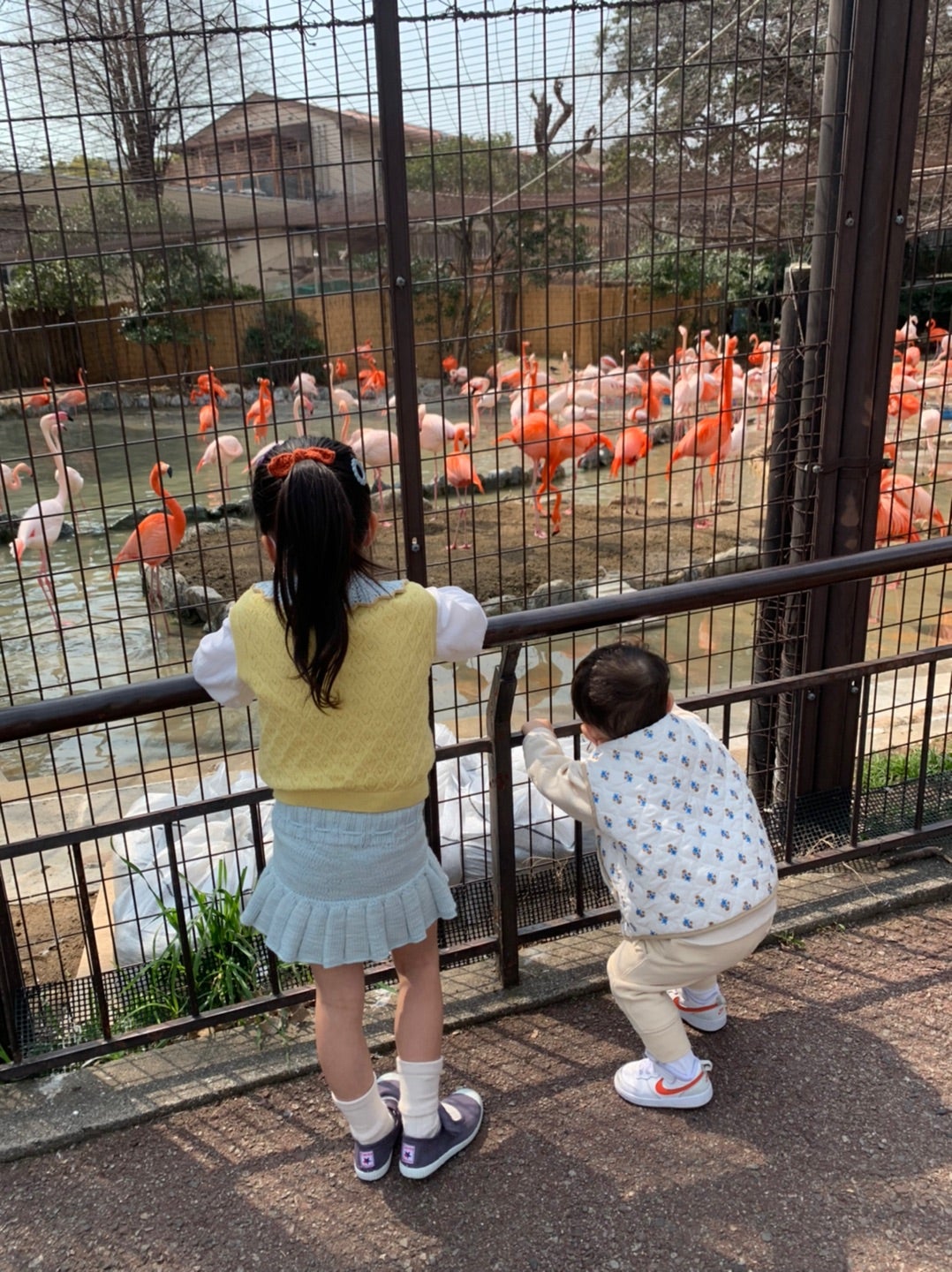 misha and puff | ahs714のブログ