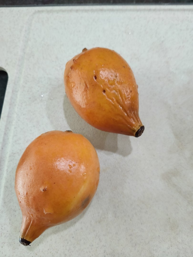 アチャチャイルを食べる | 果樹園芸ブログ衛門