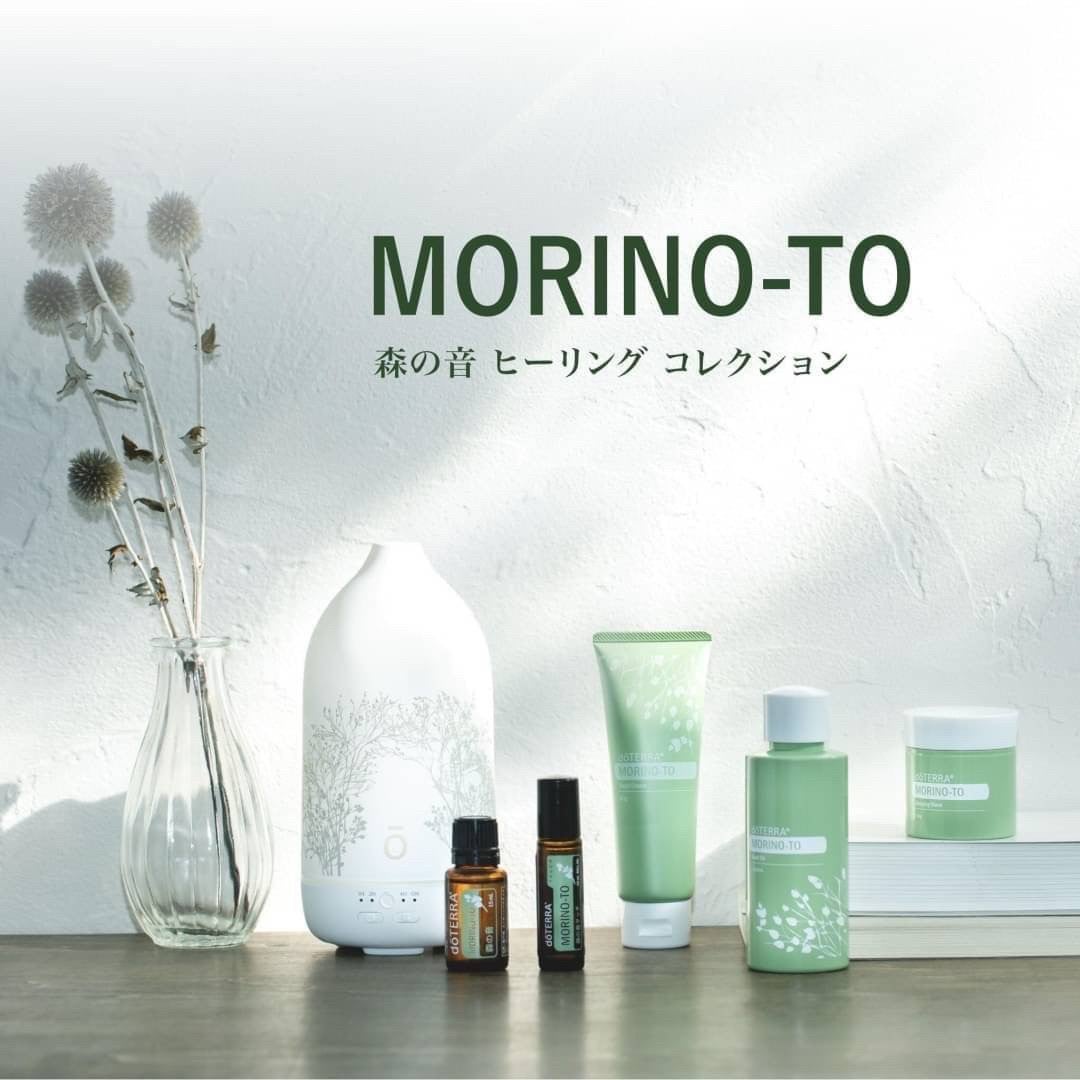 数量限定❗️『森の音 ヒーリング コレクション 登録キット