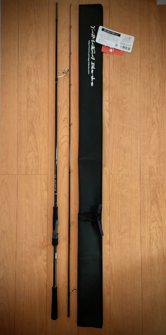 アーリー105mhのインプレと新しいサーフロッド購入 | kimagure-0217の