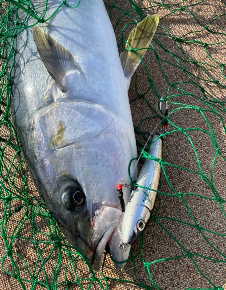 カーペンター ブルーフィッシュ100 NB-Plus N カーペンター ブルー