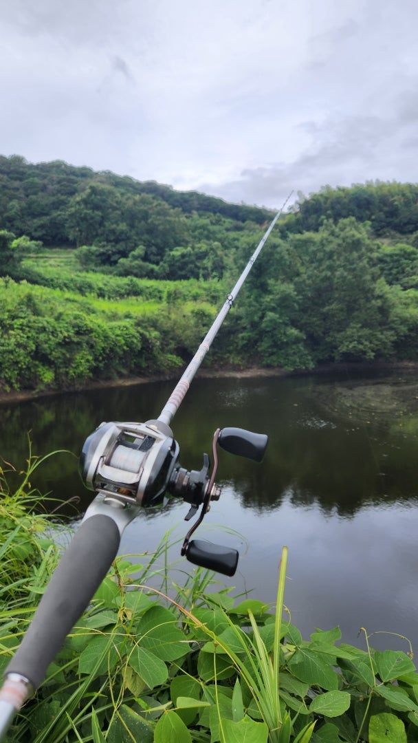 ハートランド 832MSB-SV AGS21 ドットスリーのレビューとかしてみる