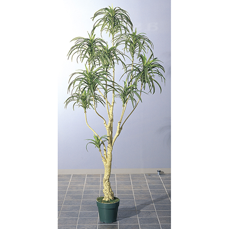 直送】【人工観葉植物】アスカ/ユッカツリー (ポット付) グリ-ン/A