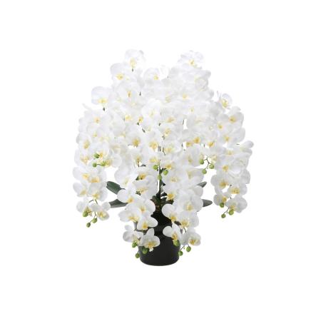 直送】 【造花】光の楽園/光触媒 フレッシュロング胡蝶蘭7本立W