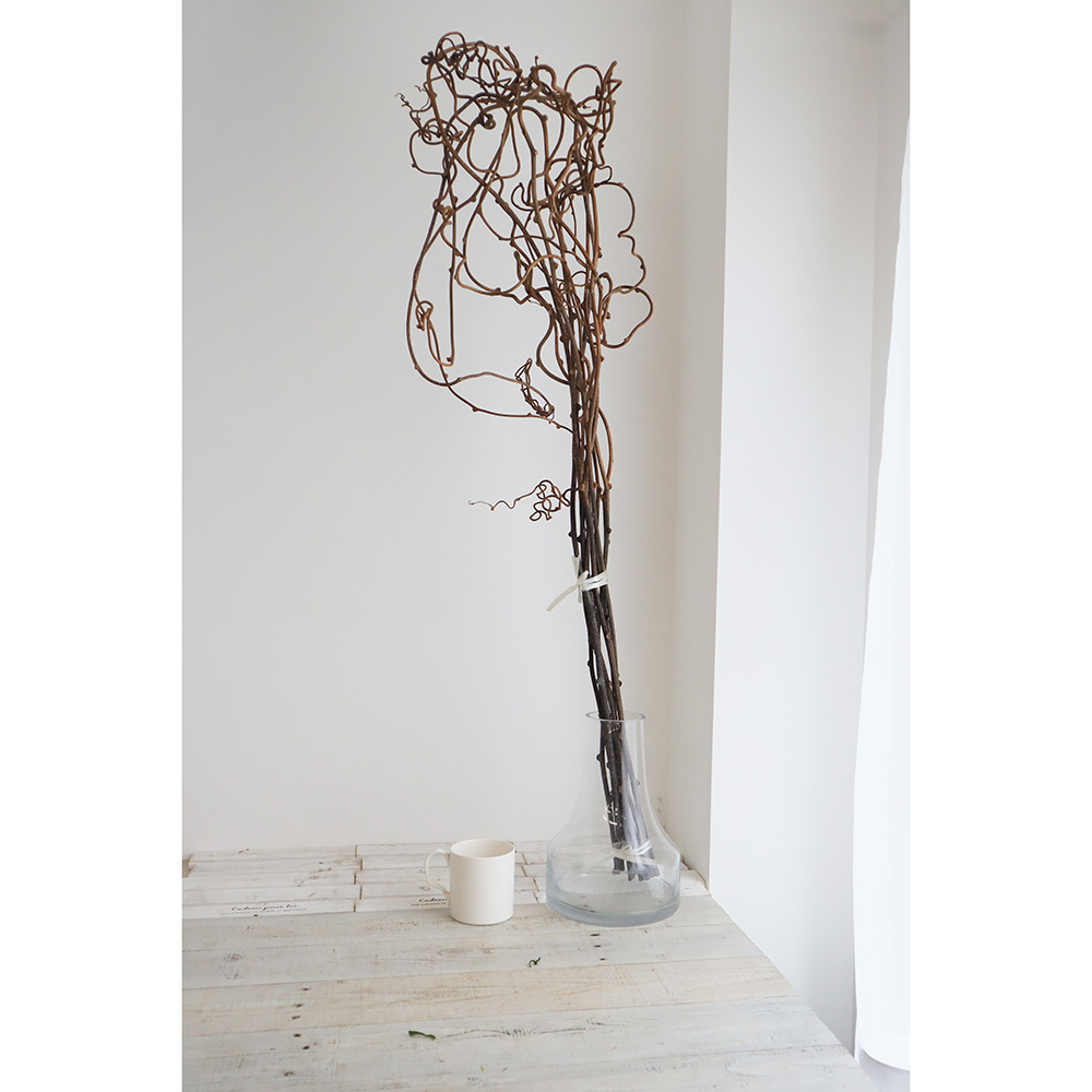 生花/即納】【ドライ】キウイのつる(L)【P0-03】 - 花材通販はなどんや