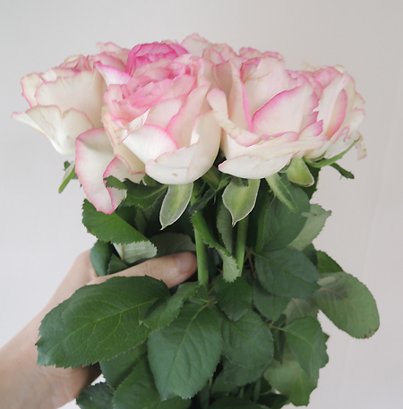 ♡お取り置き♡ ピンクシラー ラブラドライトバラ モリオンバラ