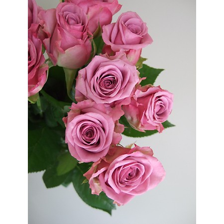 ♡お取り置き♡ ピンクシラー ラブラドライトバラ モリオンバラ