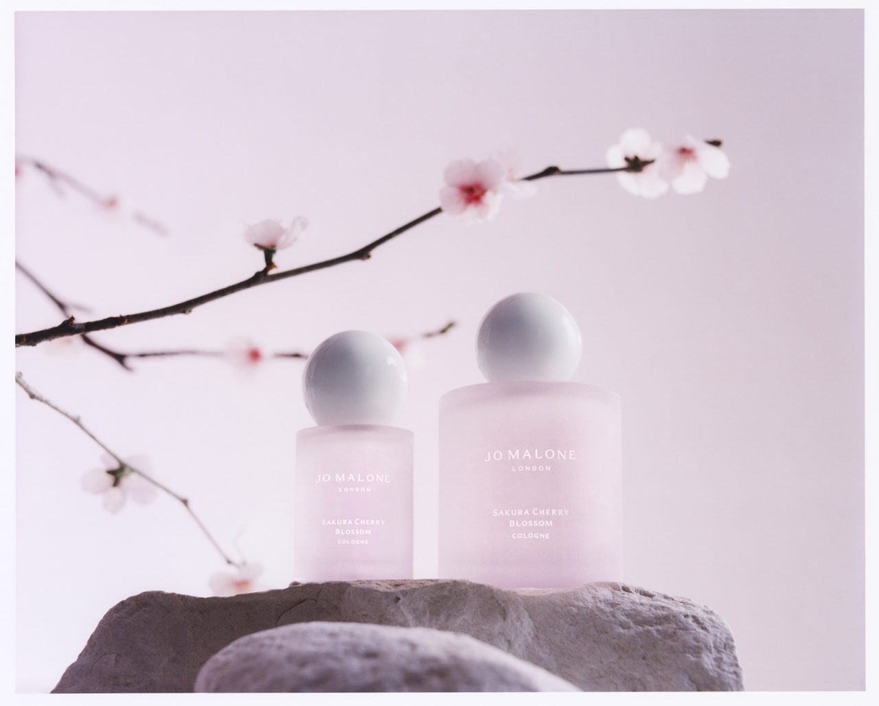 日本の桜の儚さを表現。ジョー マローン ロンドンが春期間限定アイテム