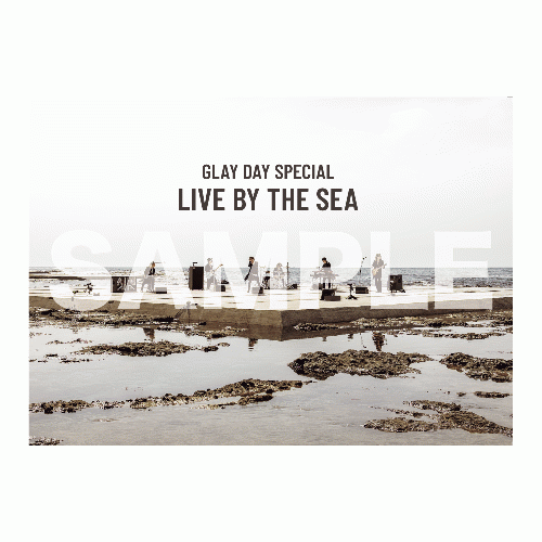 商品詳細ページ | G-DIRECT