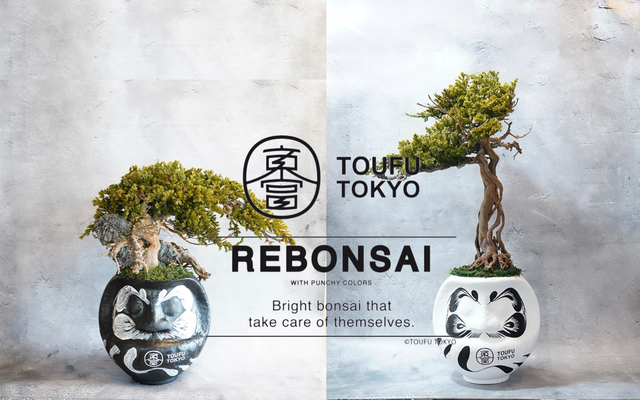 detail_26244_16526020857460.