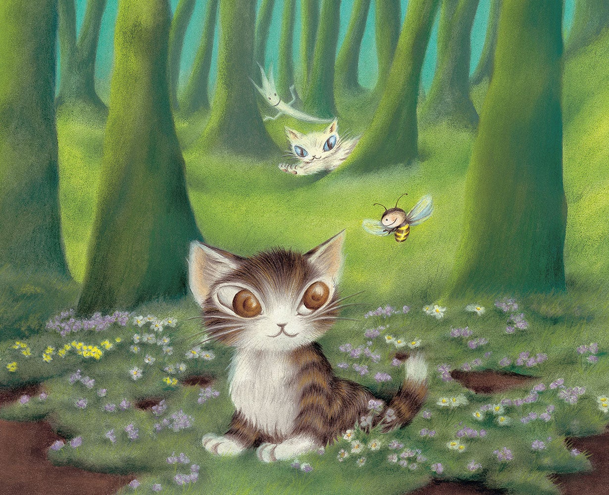 わちふぃーるど】ボルネオの森を守りたい！『ダヤンの森4