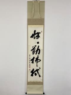 掛軸 茶掛 一行書 福本積應「松無古今色」共箱 大徳寺派 招春寺・宝