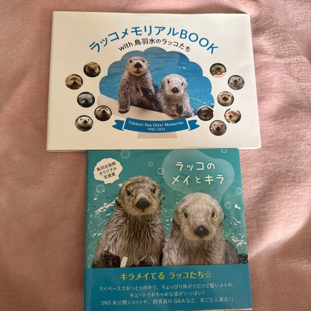 2026年最新】ラッコのメイ 写真集の人気アイテム - メルカリ