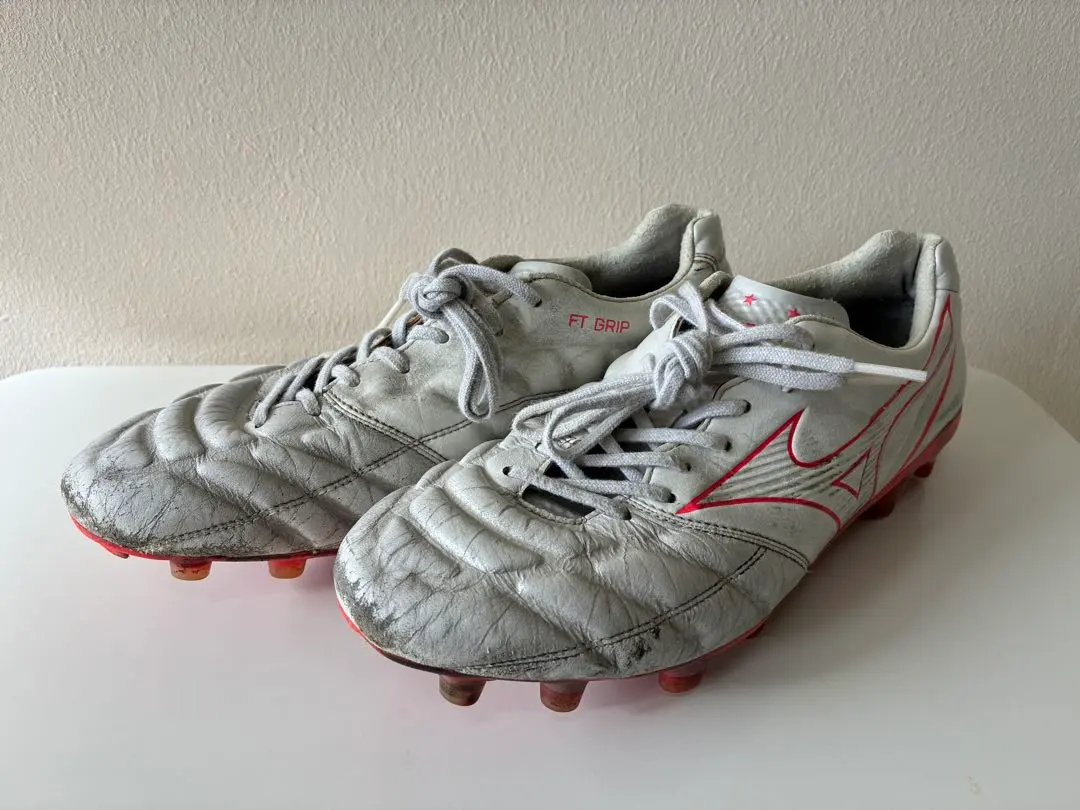 2026年最新】レビュラカップjapanの人気アイテム - メルカリ