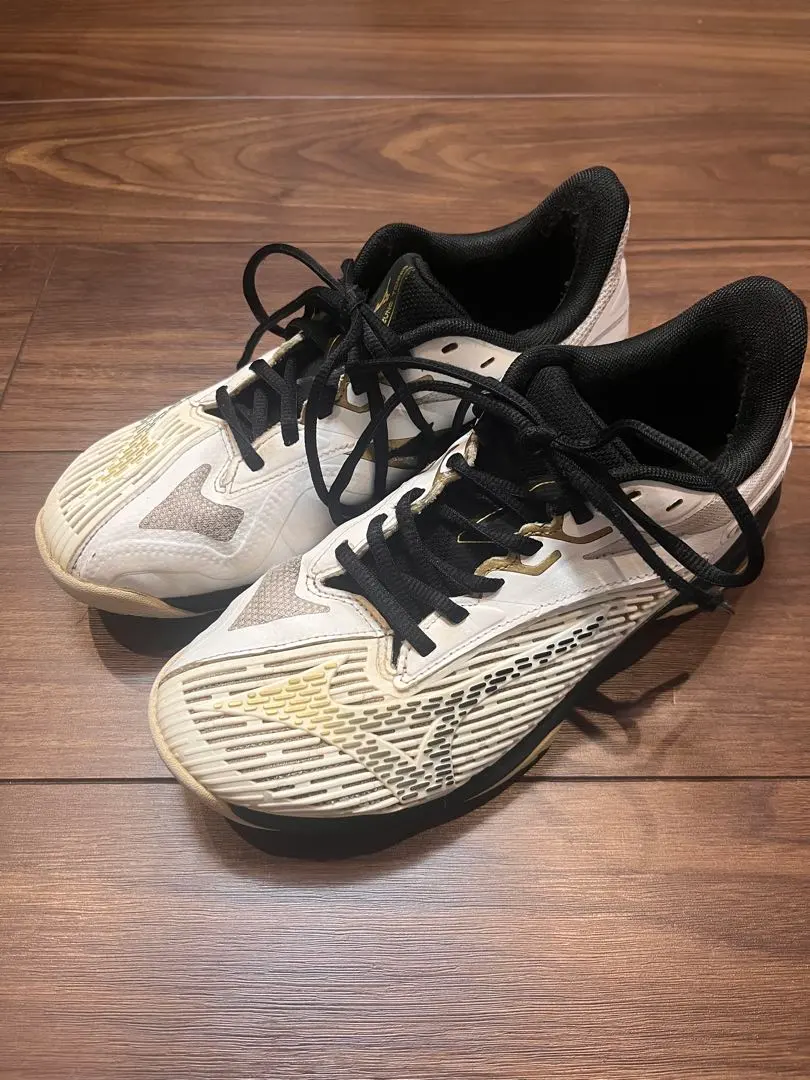 2026年最新】［ミズノ］ テニスシューズ ウエーブエクシード 2 ワイド