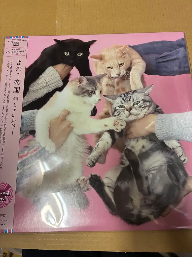 2026年最新】きのこ帝国 猫とアレルギーの人気アイテム - メルカリ