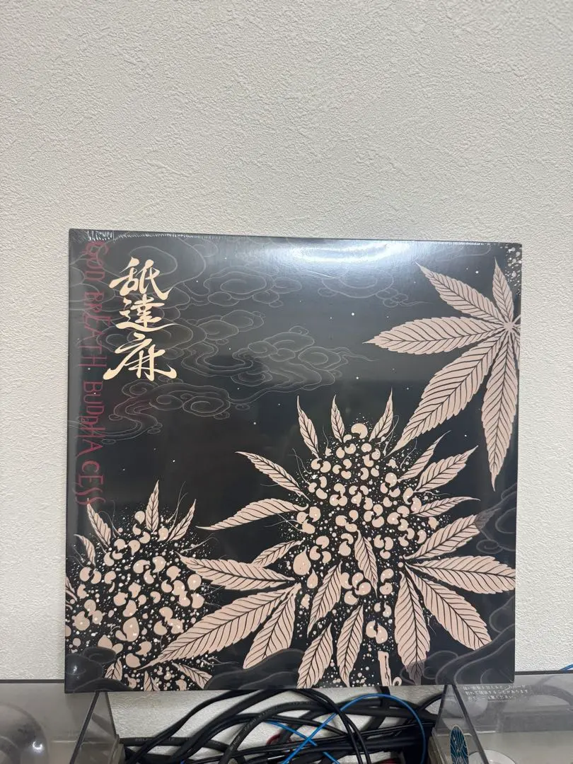 2026年最新】なめだるま レコードの人気アイテム - メルカリ